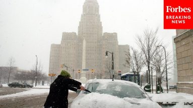 Socialist Mayoral Candidate Holds Rally In Buffalo As She Faces Opposition From Dem Establishment