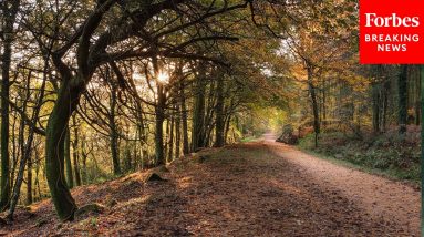Dem Rep Says Religion Helped Him See Importance Of Protecting Environment