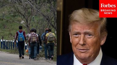 Biden Considering $450,000 Payments To Families Separated At Southern Border Under Trump: Report