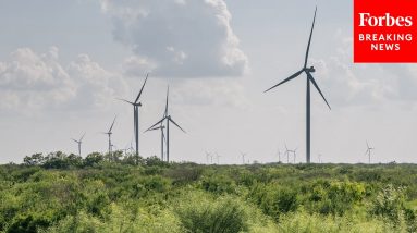 Texas Rep Speaks About His State's Sizeable Involvement And Opportunities In Wind Energy