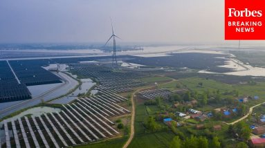 GOP Rep Says Wind And Solar Can't Power America, But US Could Build Capacity To Meet Energy Needs