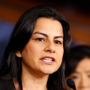 Barragán Asks How To Speed Up Wind Energy Construction