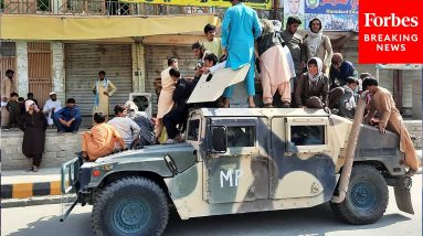 Elizabeth Warren Explains How US War In Afghanistan Actually Helped Taliban