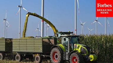 Congress Looks At Advancements In Farming Biotechnology