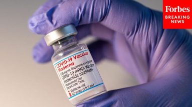 Teens Could Get Moderna COVID-19 Vaccine In Coming Weeks, Children 6-11 By End Of Year, CEO Says
