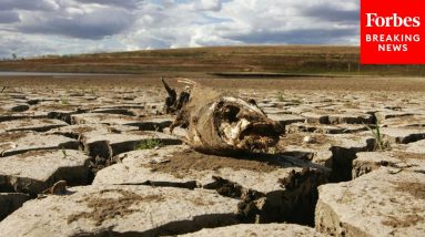 Big Oil Execs Grilled By Democrats During Fiery House Oversight Hearing On Climate Change