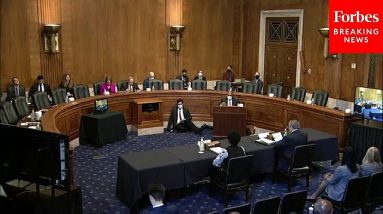 Senate Environment And Public Works Committee Holds Hearing On Nominees