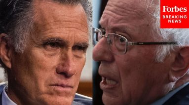'I Feel The Need To Respond To That': Mitt Romney Interrupts Hearing To Refute Bernie Sanders