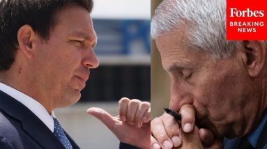 'Flat-Out Disgusting': DeSantis Tears Into Fauci Over Experiments On Dogs