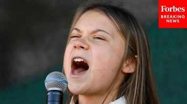 GOP Rep Knocks Greta Thunberg During Hearing