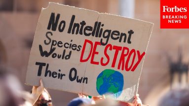 House Committee Hears About How To Protect Human Rights While Promoting International Conservation