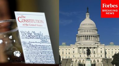 'Constitutional Right Of Life, Liberty, And Pursuit Of Happyness': Cicilline Pushes For Red Flag Law