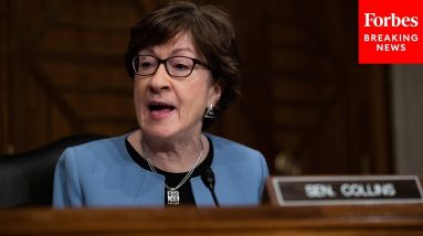 Senators Celebrate Susan Collins After She Casts 8,000 Consecutive Roll Call Votes