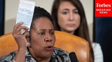 Jackson Lee Enthusiastically Supports Gun Control Bill And Rejects That It Violated Constitution