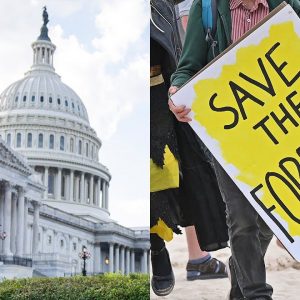 Schumer Promises 'Robust' Climate Provisions As Manchin Chips Away At Pieces Of Reconciliation Bill