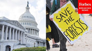 Schumer Promises 'Robust' Climate Provisions As Manchin Chips Away At Pieces Of Reconciliation Bill