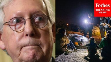 'Record-Shattering Number Of Illegal Immigrants': McConnell Tears Into Biden Over Border