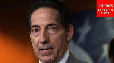Jamie Raskin Implies Red Flag Laws May Have Prevented Some Of Biggest Mass Shootings In USA