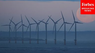 NJ Rep Praises Biden For Opening Up Offshore Areas For Wind Energy Leases