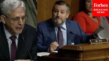 'If Critical Race Theory Is Taught In More Schools, Does Your Son-In-Law Make More Money?': Cruz