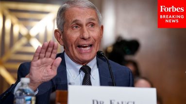 Bat Viruses? Puppy Experiments? Fact-Checking Critics’ Latest Claims About Dr. Fauci