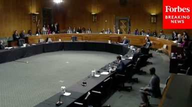 Senate Judiciary Committee Holds Hearing