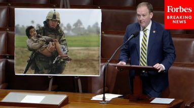 Lee Zeldin Promotes Program That Can Help Veterans Struggling With PTSD And Depression