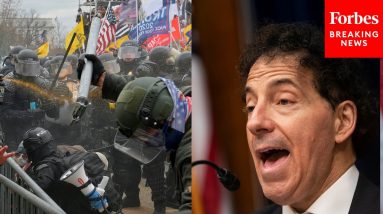 'We Know An Insurrection When We See One': Raskin Eviscerates Trump's Recent False Statements