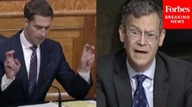 Tom Cotton Mocks Biden Defense Official's 'On Your Couch' Statement