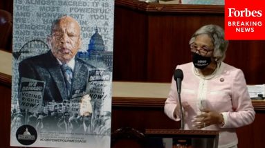 Joyce Beatty Speaks About Civil Rights Heroes And Need For Voting Rights Reform