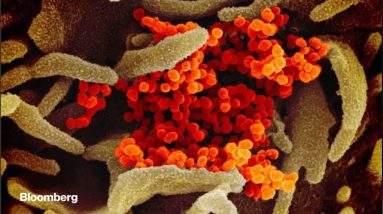 U.K. Covid-19 Surge, Vaccine Trial Confusion: Virus Update