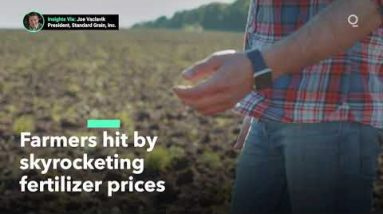 U.S. Farmers Hit By Skyrocketing Fertilizer Prices