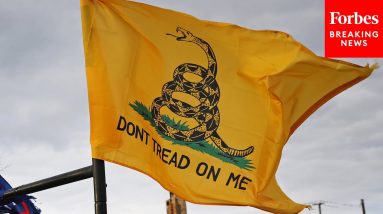 'Give Your Freedoms Up For A Day...': GOP Rep Compares Gun Control To Pandemic Control Measures