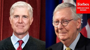 'Reap What They Sow': McConnell Describes Dem Reasoning That Impacted His SCOTUS Decisions