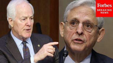 'I Think You Can Answer That -- Yes Or No?': Garland Confronted Over School Board Memo By Cornyn