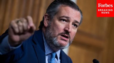 Ted Cruz Questions FAA Commissioner On Hot Air Balloon Safety Legislation