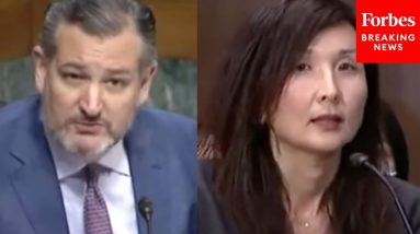 'Did You Agree With It?': Ted Cruz Grills Judicial Nominee About Controversial Press Release