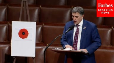 Andrew Clyde Speaks About Origins Of Poppy As Symbol Of Veterans