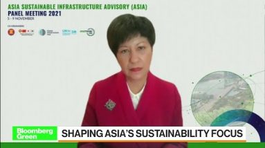 Assessing The Key Challenges for Decarbonization in Asia