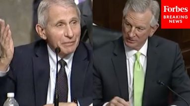 'Are You Communicating With Them?': Tuberville Grills Fauci Over Current Research In China