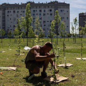 Delaware Governor Pledges To Plant A Tree For Every Single State Resident