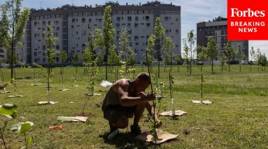 Delaware Governor Pledges To Plant A Tree For Every Single State Resident