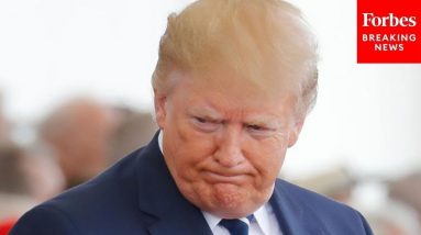 Dick Durbin Rips Trump For Lying About 2020 Election, Attempting To Overturn It