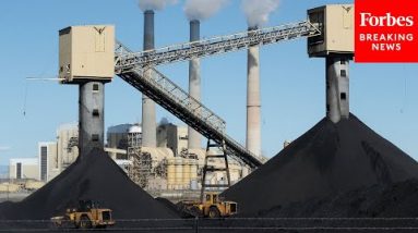 Dem Lawmaker: 'The Coal Industry Is Dying' Because Of Economics