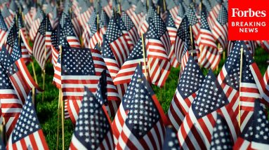 Democratic Representatives Commemorate Veterans Day