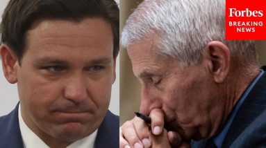 'Most Destructive Bureaucrat In The History Of Our Country': DeSantis Targets Fauci In Speech