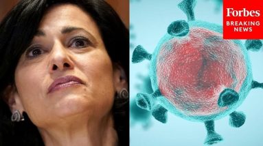 CDC Director Rochelle Walensky Describes 'Steep Increase' In COVID-19 Hospitalizations And Deaths