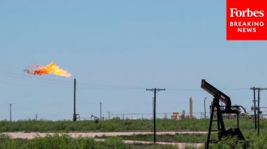 The Battle Over Countries Funding Fossil Fuels Intensifies In COP26’s Last Few Hours