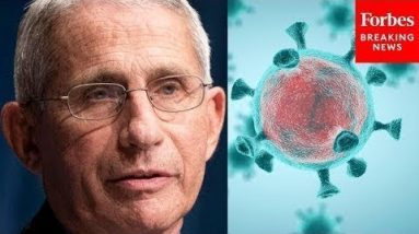 Fauci: 'Eradication' Of COVID-19 'Is Out'