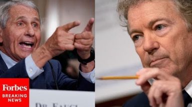 Sparks Fly When Rand Paul Tells Fauci Point Blank, 'I Think It's Time That You Resign'